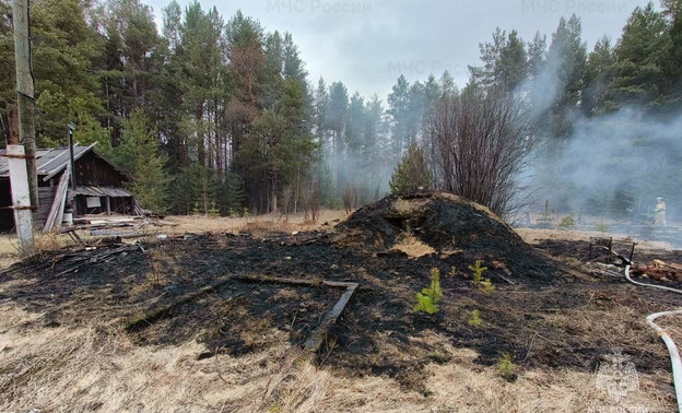 Кировчанам напомнили, куда звонить при обнаружении лесного пожара
