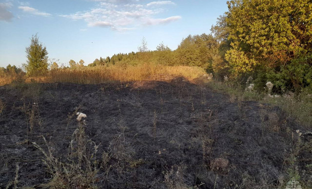 В Кировской области загорелось поле из-за сигнального патрона