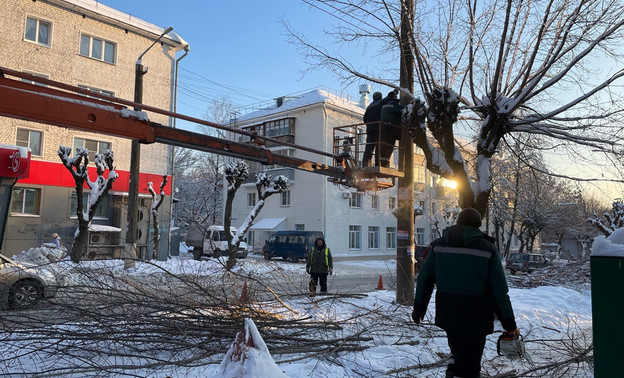 В Кирове обрезали деревья на семи улицах