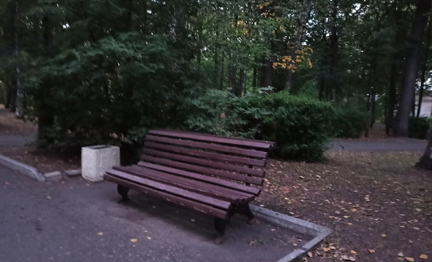 В Кирове появятся 36 скамеек и столько же урн почти за 3,5 млн рублей