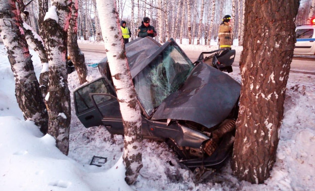 В Вятскополянском районе женщина на «Дэу» вместе с двумя детьми врезалась в дерево