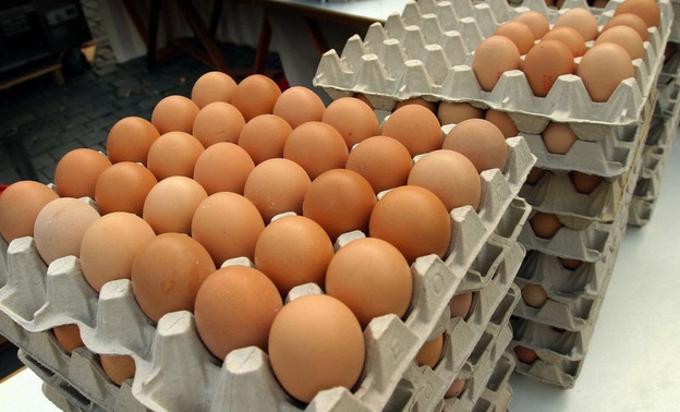 С начала 2023 года куриные яйца в России подорожали почти на 59 %