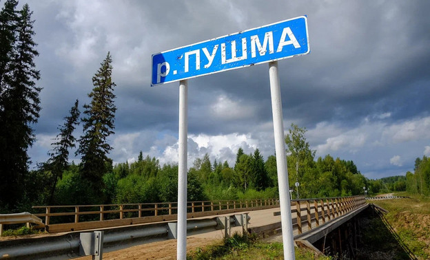 Мост через Пушму начнут строить в 2025 году
