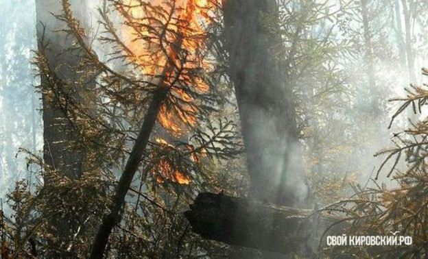 Кировские леса в зоне высокого риска по пожарам