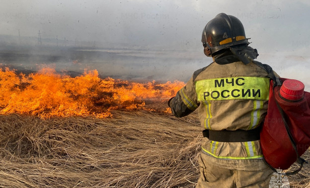 С начала сезона в Кировской области зарегистрировали 17 ландшафтных пожаров