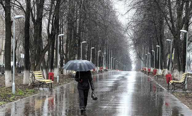 Погода в Кирове. В четверг ожидаются ливни