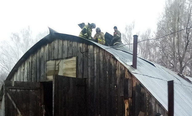 В Уржумском районе пожарные спасли 16 коров при возгорании фермы