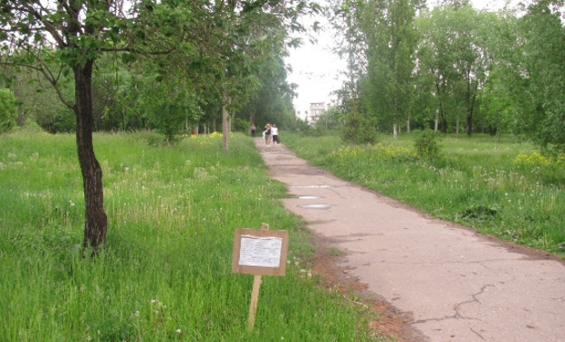 На развитие Кочуровского парка в Кирове власти города планируют потратить 60 миллионов рублей