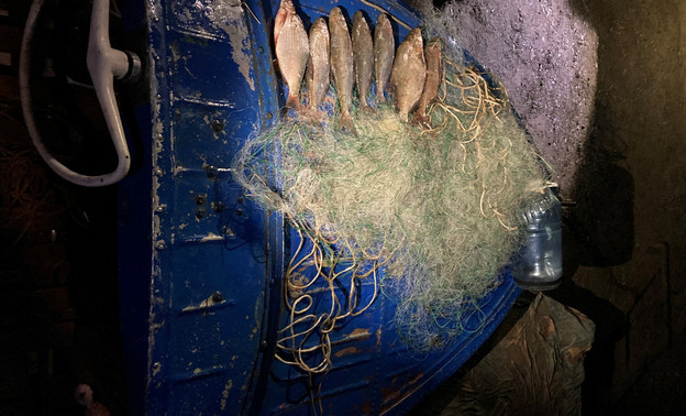 Кировский рыболов может угодить в тюрьму за леща