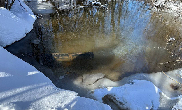 В Пасегово выясняют обстоятельства загрязнения реки Чахловицы