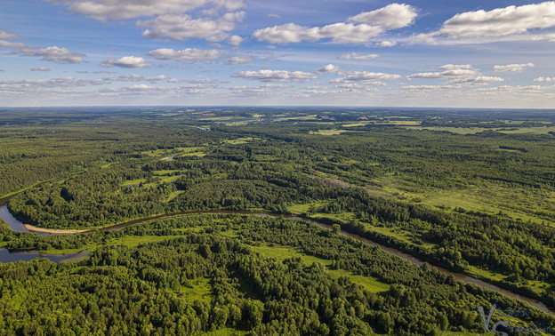 В Кировской области обнаружили 15 тысяч нарушений границ лесничеств