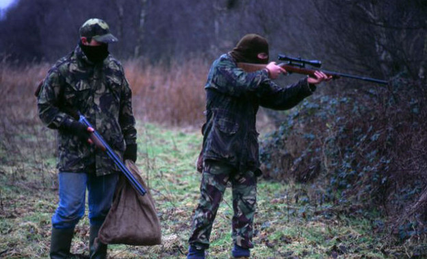 В Кировской области перед судом предстанет браконьер