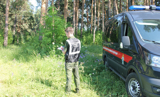 В Верхнекамском районе предприниматель незаконно вырубил лес на миллион рублей