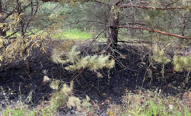 В Кировской области из-за грозы произошло шесть пожаров