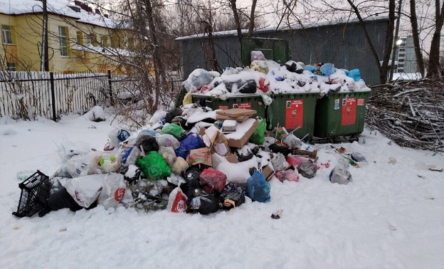 В Кирове нашли более 160 неучтённых мусорных площадок