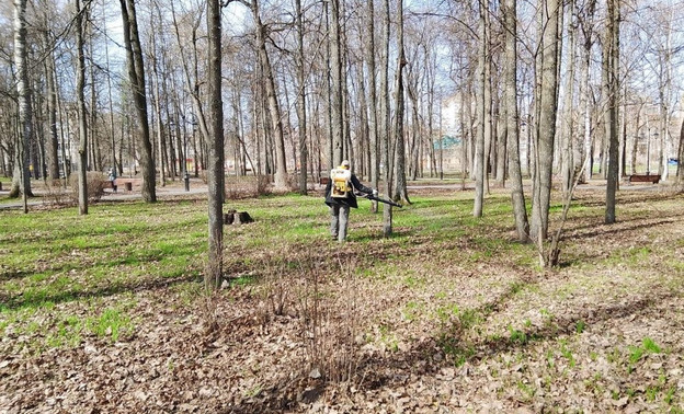Александровский сад начали обрабатывать
