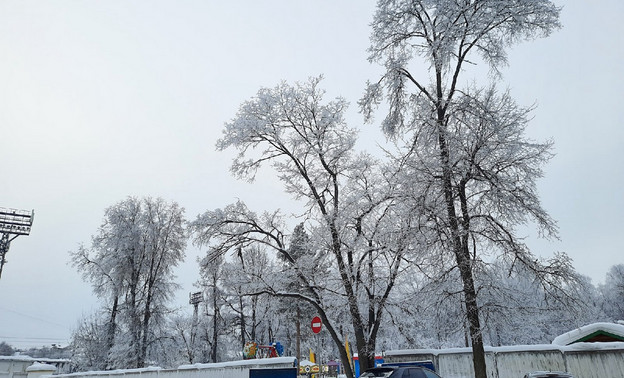 5 и 6 февраля кировчан ожидает небольшой снег и тёплая погода