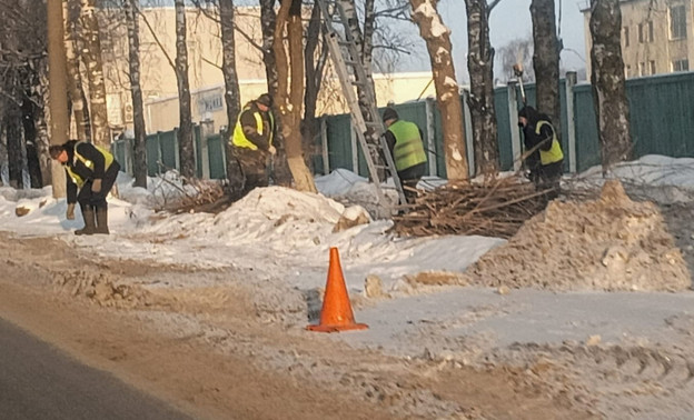 На улице Советской в Нововятске обрезают деревья