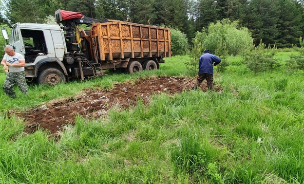 Суд обязал Министерство лесного хозяйства Кировской области устранить свалку в лесу