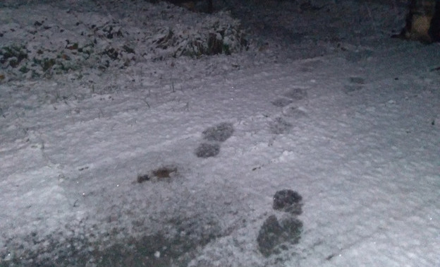 В Подосиновском районе выпал первый снег