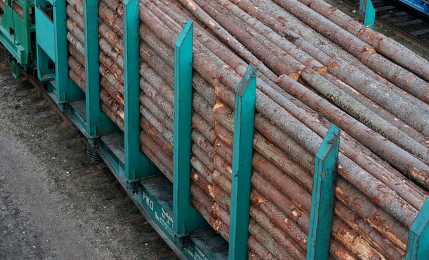 В Кировской области сократился объём незаконной заготовки древесины