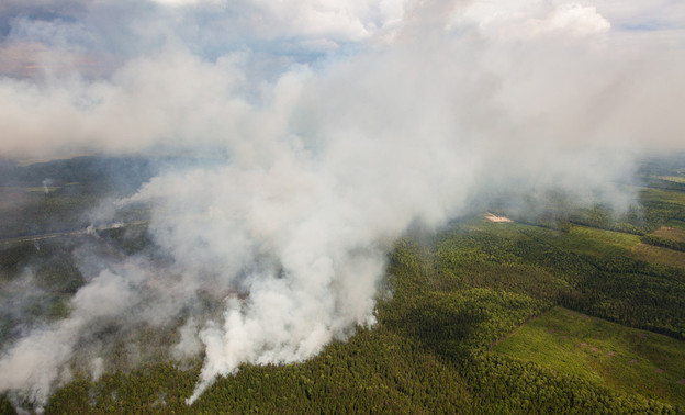 В выходные в Кировской области могут начаться природные пожары