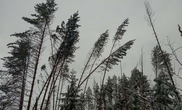 14 декабря в Кировской области ожидаются ледяной дождь и метель