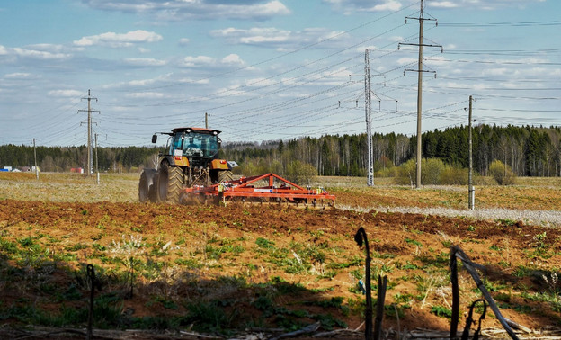 В Кировской области приступили к уборке урожая зерновых и зернобобовых культур