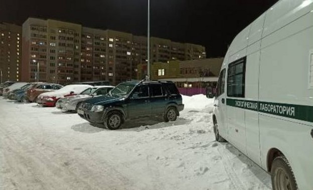 Эколаборатория проверила качество воздуха в кировских Озерках