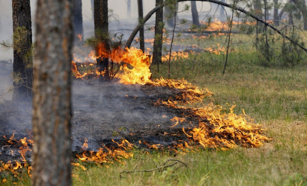 Начался сезон: в Кировской области из-за неосторожного обращения с огнём загорелась трава