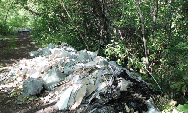 Будущий ленточный парк в Кирове завалили мусором