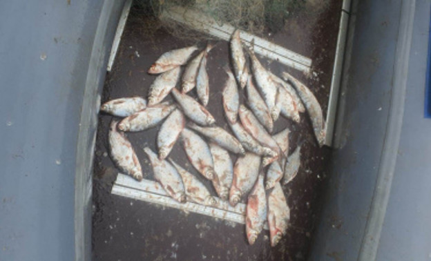 Браконьера задержали в Арбажском районе за ловлю рыбы сетью