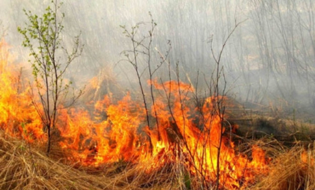 Почти 50 раз за выходные пожарные выезжали тушить горящую траву