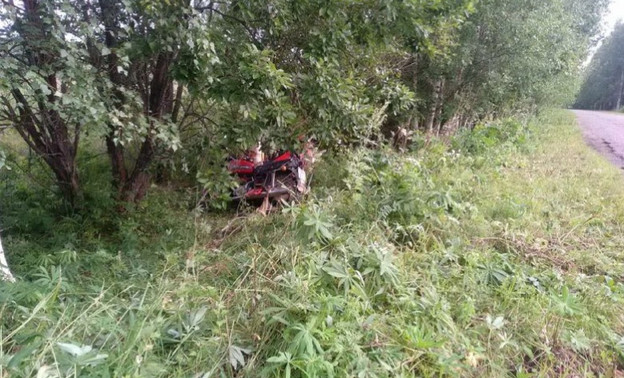 В Даровском районе мотоциклист влетел в дерево