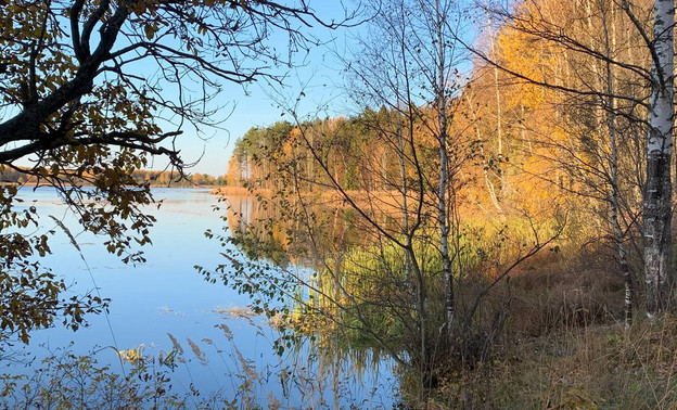 В Кировской области обезвредили браконьера