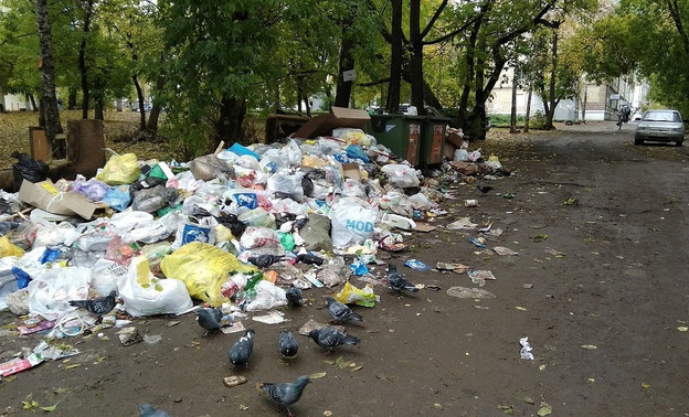 Кировские управляющие компании заставят каждый день отчитываться о вывозе мусора