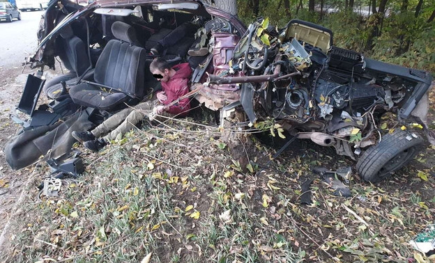 В Кирове водитель «Мицубиси Галант» влетел в дерево: автомобиль разорвало пополам