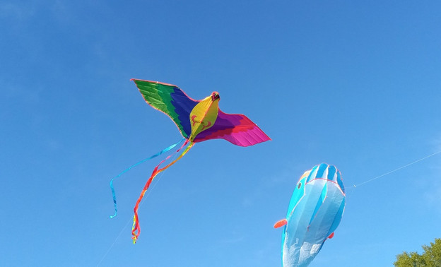 Кировчане запустят в небо воздушных змеев на городском пляже «Титаник»