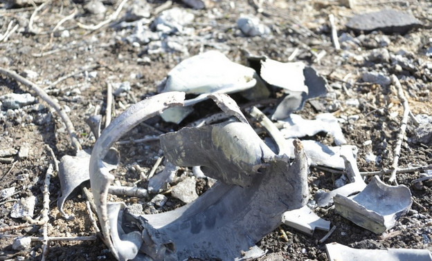 Украинский беспилотник уничтожили над Тульской областью