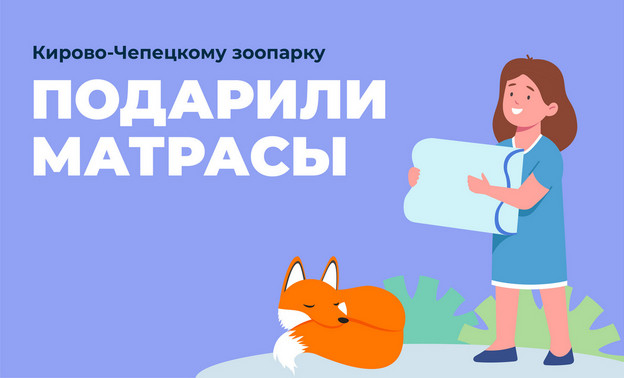 В Кирово-Чепецке детский сад подарил местному зоопарку матрасы