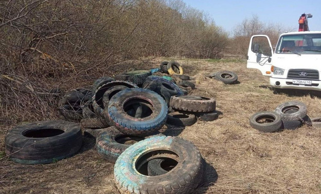 В Кирове ликвидировали 21 свалку шин и покрышек