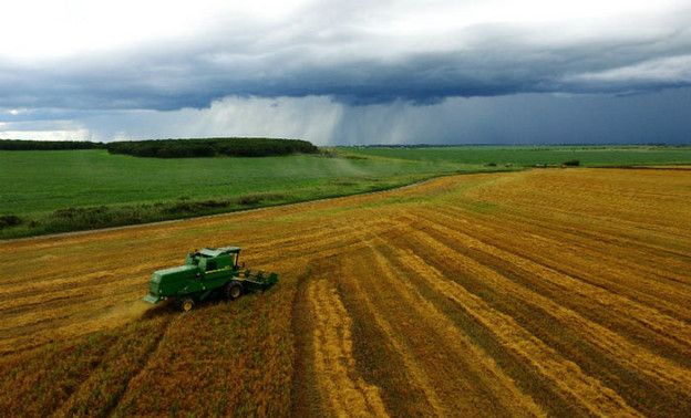 Агропромышленным предприятиям Кировской области выделили более 736 миллионов рублей