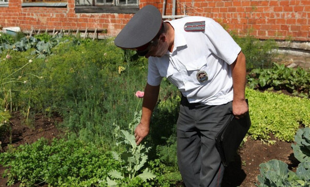 Сельская «наркобаронесса»: жительница Советского района выращивала мак на своём участке