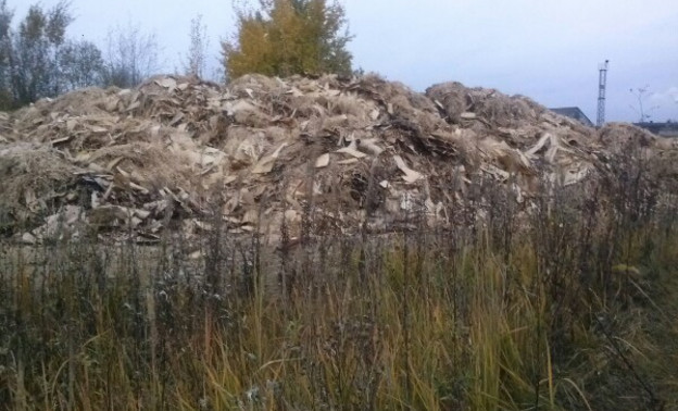 «Боимся нового пожара»: в Котельничском районе вновь обнаружили несанкционированную свалку