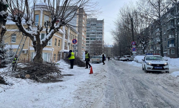 На улицах Кирова продолжают обрезать деревья
