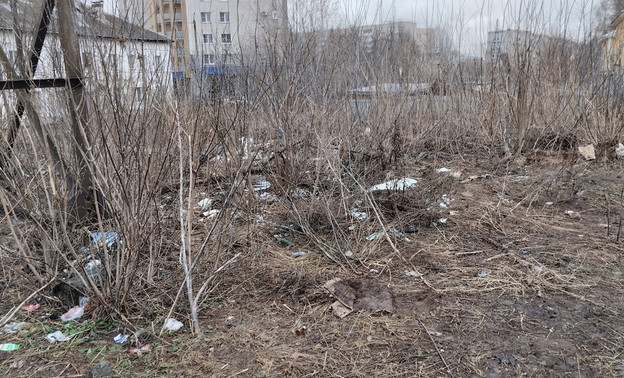 На улице Уральской предложили создать площадку для выгула собак