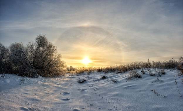 Кировские метеорологи-любители: «Январь 2020 года стал самым тёплым за всю историю наблюдений в мире»