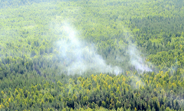 В Кировской области искусственный интеллект обнаружил три лесных пожара