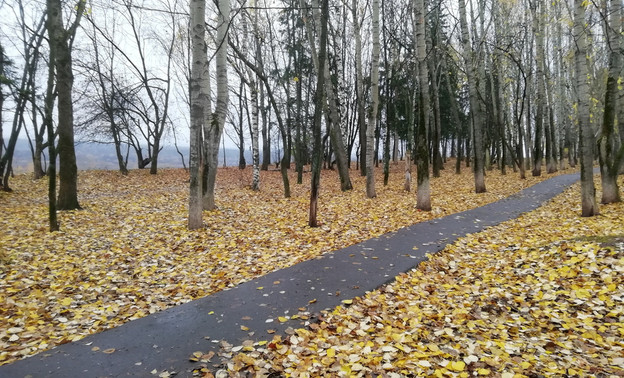 Погода в Кирове. В выходные будет пасмурно и дождливо