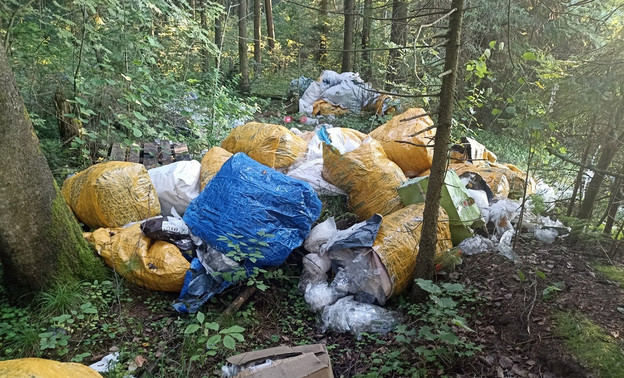 Полицейские займутся поиском создателя свалки рядом с Садаковским